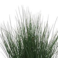 ColorGrass® Juncus Blue Dart