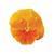 Matrix™ Orange Pansy
