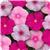 Titan Bubble Gum Mixture Vinca