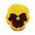 Panola XP™ Yellow Blotch Pansy
