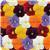 Panola XP™ Clear Mixture Pansy