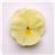 Matrix&trade; Primrose Pansy