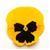 Matrix&trade; Yellow Blotch Pansy