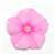 Titan Icy Pink Vinca