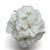 Fantasia&trade; White Zonal Geranium
